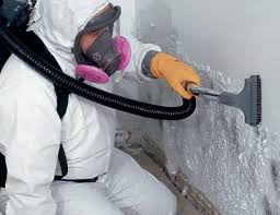 Best Real Estate Mold Inspection  in Wtell, LA